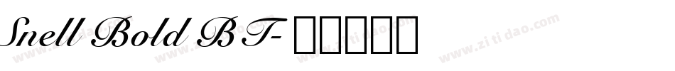 Snell Bold BT字体转换